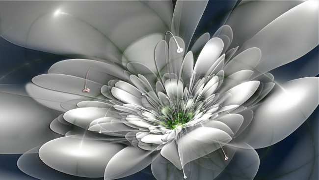 Обои картинки фото 3д, графика, flowers, цветы, лепестки