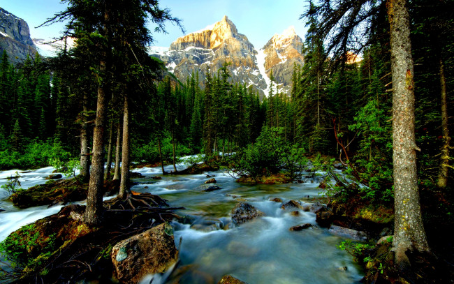 Обои картинки фото природа, реки, озера, стремнина, река, лес, горы, пики