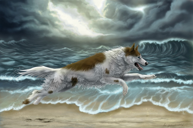 Обои картинки фото рисованные, животные, собаки, море, собака