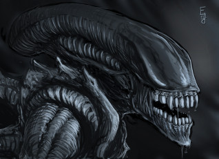Картинка фэнтези Чужой+ alien зубы монстр чудовище существо пасть Чужой