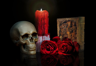 Картинка фэнтези нежить книга розы свеча череп