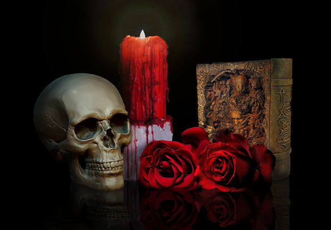 Обои картинки фото фэнтези, нежить, книга, розы, свеча, череп