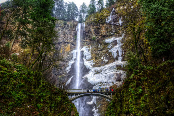 Картинка природа водопады река лес водопад