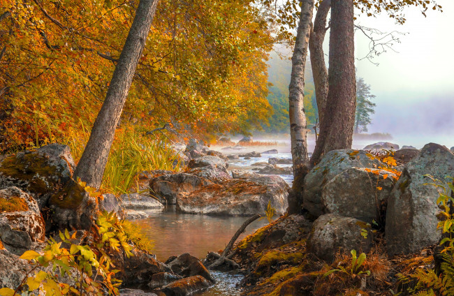 Обои картинки фото природа, реки, озера, туман, утро, озеро, осень, лес