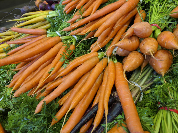 Обои картинки фото еда, морковь, пучки, корнеплоды