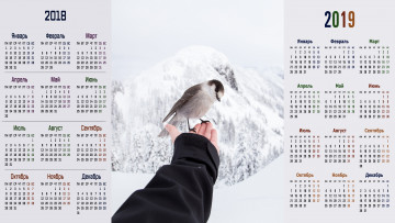 обоя календари, животные, снег, рука, птица