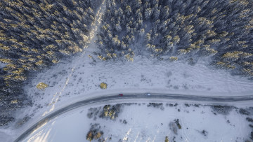 Картинка природа дороги фото с дрона вид высоты птичьего полета зима деревья