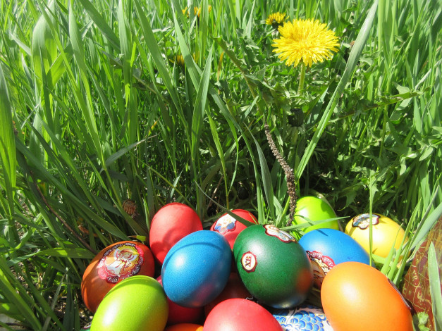 Обои картинки фото праздничные, пасха, трава, яйца, весна, 2018