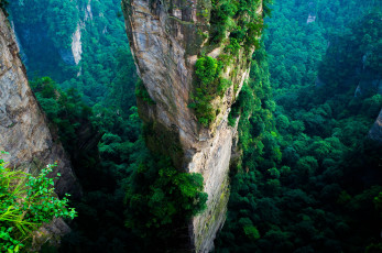 обоя природа, горы, лес, китай, утес, зеленый, лето, пейзаж, вид, с, воздуха, азия, национальный, парк, чжанцзяцзе, zhangjiajie, national, park
