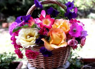 Картинка цветы букеты композиции корзинка розы петуния