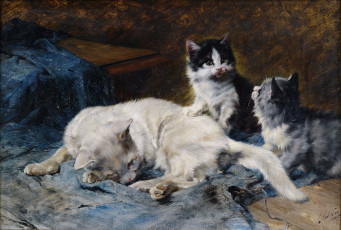 Картинка julius adam рисованные котенок