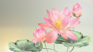 Картинка рисованное цветы лотос