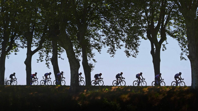 Обои картинки фото спорт, велоспорт, многодневная, гонка, тур, де, франс