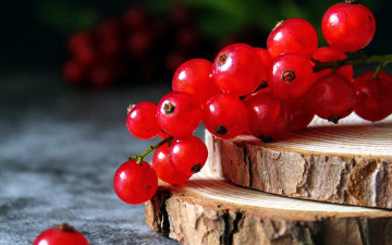 Картинка еда смородина ягоды красная