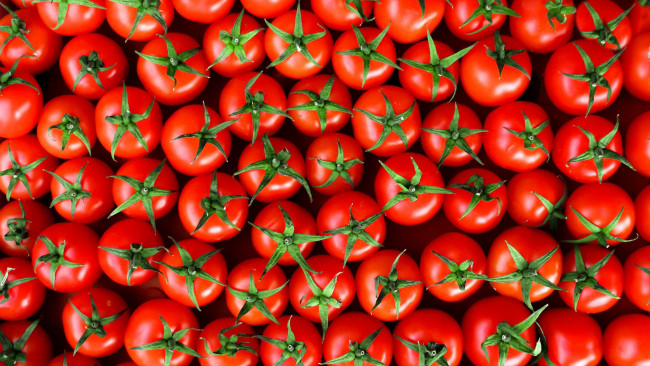 Обои картинки фото еда, помидоры, томаты