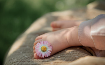 Картинка разное руки +ноги ребенок ноги цветок