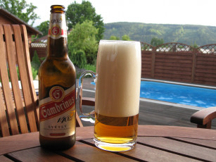 Картинка бренды напитков разное горы чешское пиво бассейн