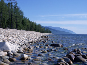 Картинка природа побережье лес камни вода
