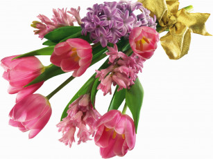 Картинка цветы букеты композиции букет тюльпаны