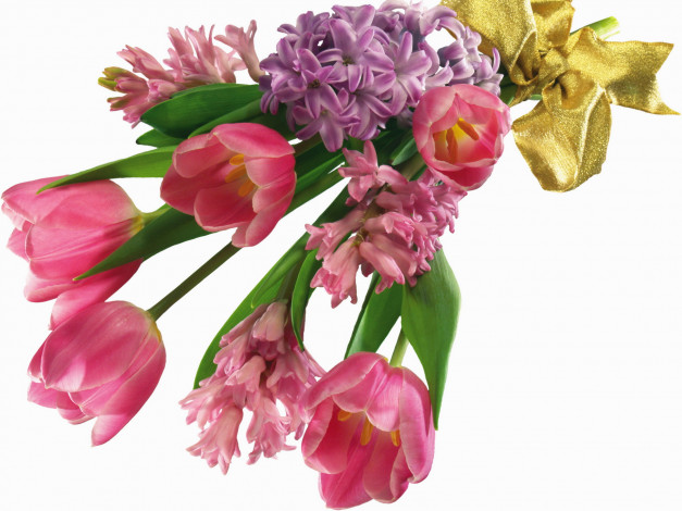 Обои картинки фото цветы, букеты, композиции, букет, тюльпаны