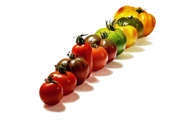 Обои картинки фото tomates, allstars, еда, помидоры, помидорки, шеренга, томаты