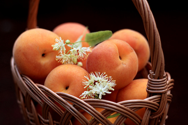 Обои картинки фото еда, персики, сливы, абрикосы, корзинка, липа
