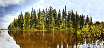 Картинка природа реки озера озеро остров лес осока