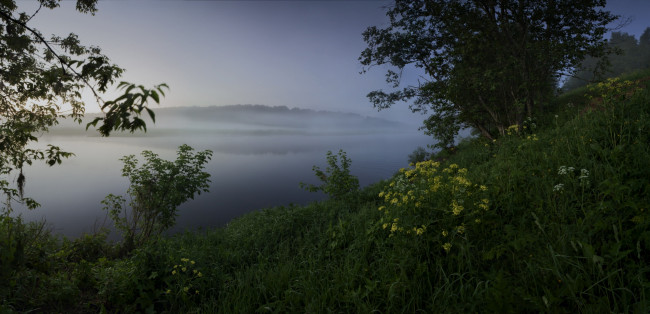 Обои картинки фото природа, реки, озера, озеро, туман, кусты