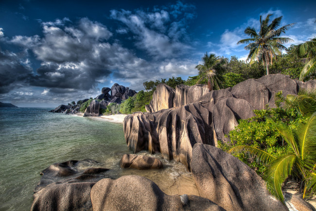 Обои картинки фото природа, побережье, океан, тропики, скалы, пальмы, джунгли