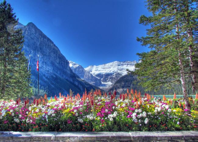 Обои картинки фото lake, louise, banff, national, park, alberta, canada, природа, горы, canadian, rockies, банф, альберта, канада, цветы, деревья, канадские, скалистые