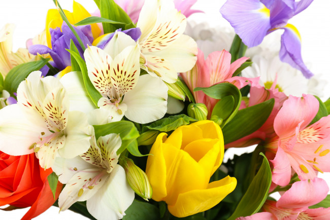 Обои картинки фото цветы, разные вместе, ирисы, альстромерии, букет, тюльпаны