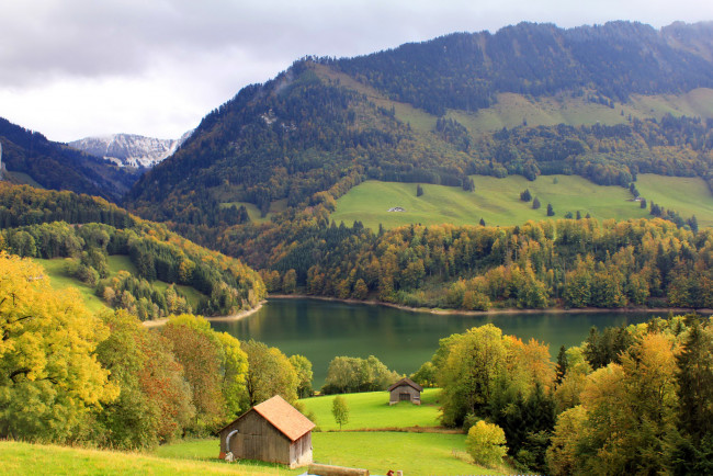 Обои картинки фото монтсальван швейцария, природа, пейзажи, деревья, трава, швейцария, леса, горы, озеро, монтсальван