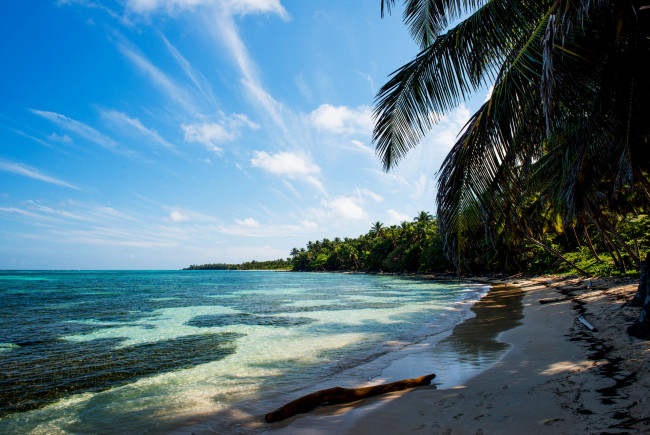 Обои картинки фото природа, тропики, море, пляж, песок, пальмы