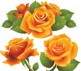 Картинка векторная+графика цветы+ flowers фон розы