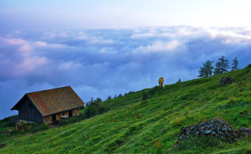 Картинка люцерн +швейцария природа пейзажи луга корова облака гора сарай