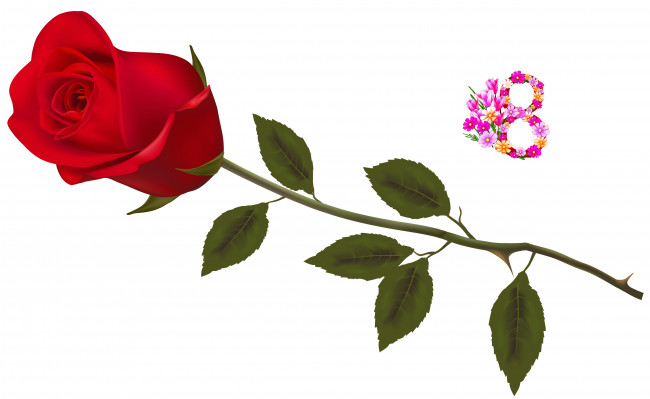 Обои картинки фото праздничные, международный женский день - 8 марта, фон, цветы, роза