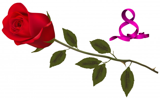 Обои картинки фото праздничные, международный женский день - 8 марта, цветы, роза, фон