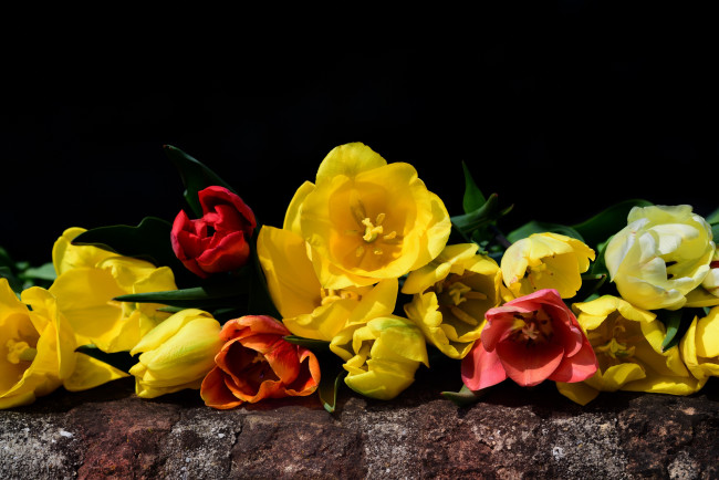Обои картинки фото цветы, тюльпаны, весна, природы, букет, красный, флора