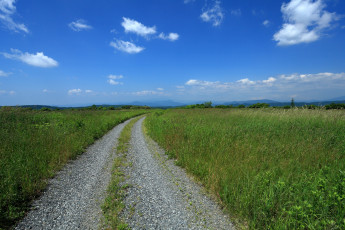 Картинка природа дороги трава лето поле