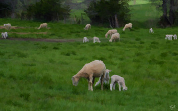 Картинка рисованные животные трава овечки