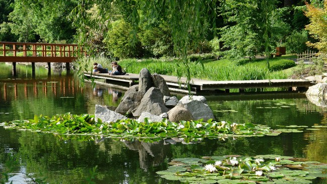 Обои картинки фото japanese, garden, wroclaw, park, szczytnicki, природа, парк
