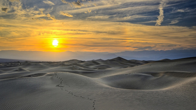 Обои картинки фото природа, пустыни, пустыня, барханы, следы, солнце, облака