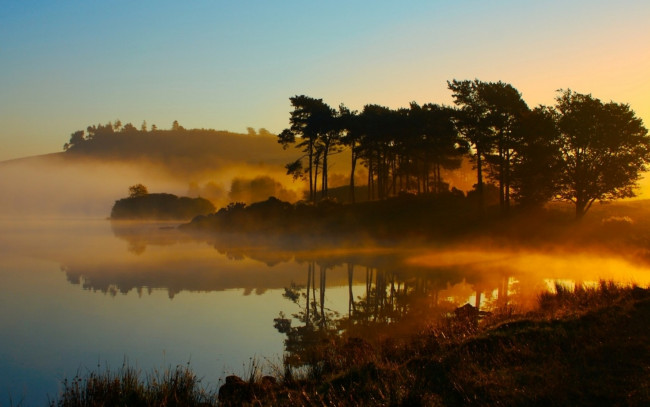 Обои картинки фото природа, реки, озера, деревья, туман, река, утро