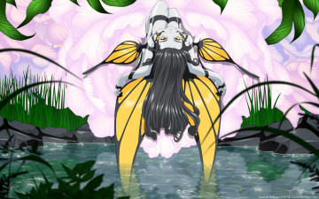Картинка аниме ah +my+goddess вода трава растения цветы камни бабочка крылья ангел девушка cilou morgan le fay