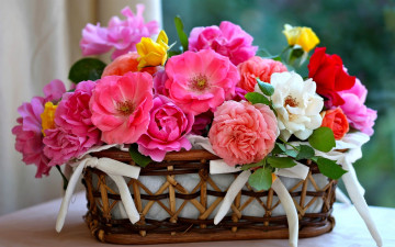 Картинка цветы розы разноцветные корзина бантики