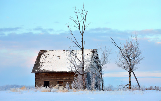 Обои картинки фото разное, развалины,  руины,  металлолом, дом, пейзаж, дерево, зима