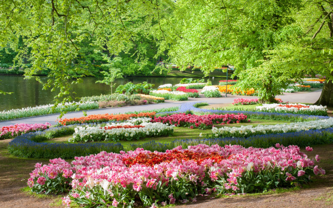 Обои картинки фото цветы, разные вместе, нидерланды, пруд, парк, keukenhof, gardens, деревья