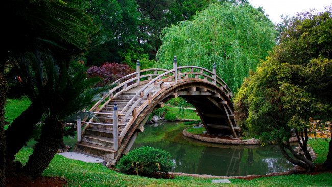 Обои картинки фото природа, парк, мостик, водоем, деревья