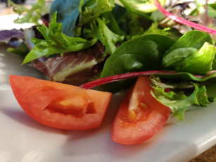 Картинка еда салаты +закуски зелень салат помидоры