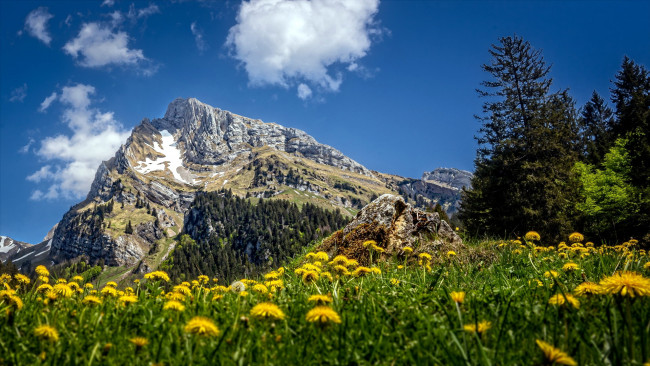 Обои картинки фото altmann mountain, switzerland, природа, горы, altmann, mountain
